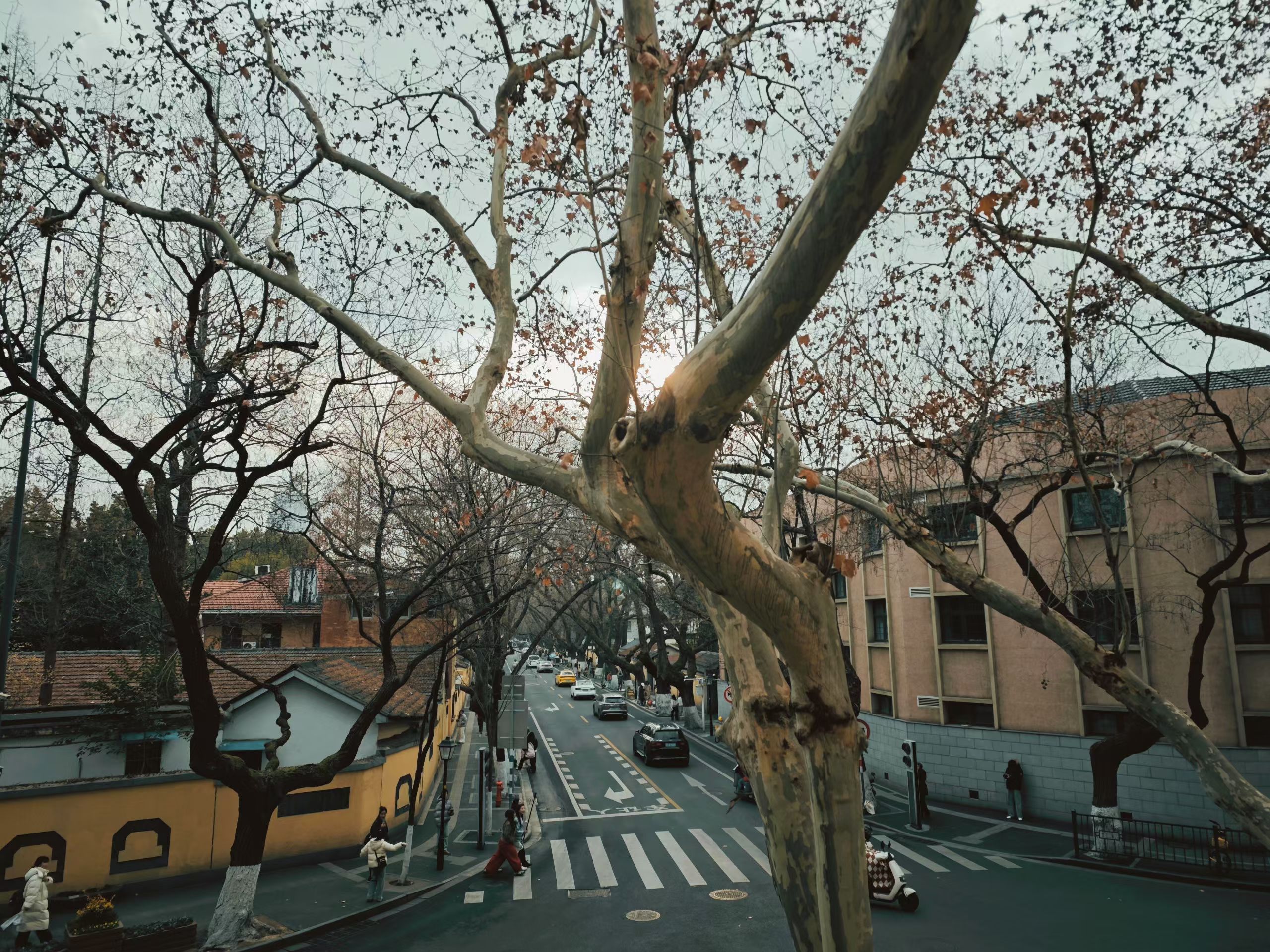 mmexport1770121429722.jpg mmexport1770121429722.jpg