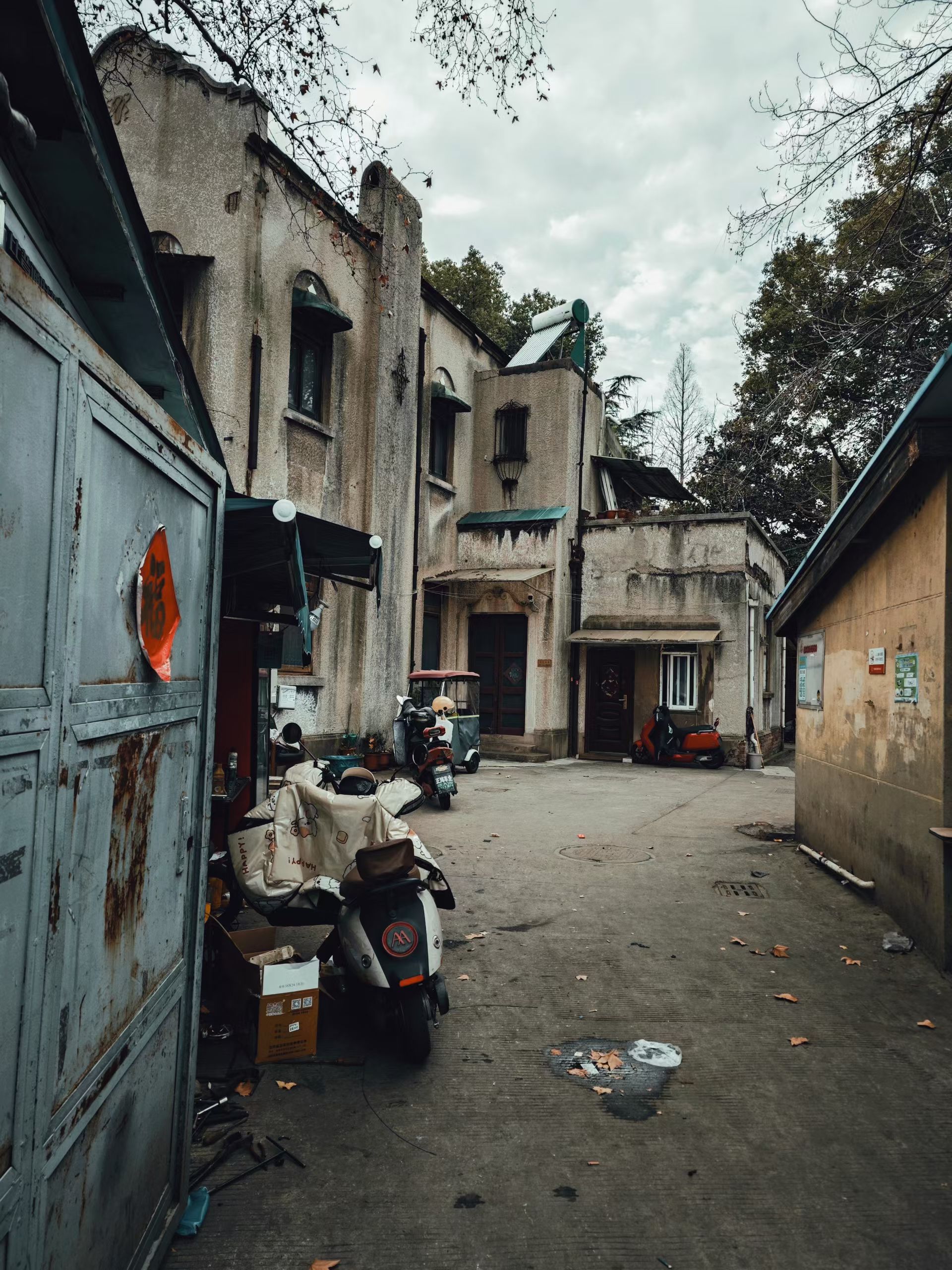 mmexport1770121425644.jpg mmexport1770121425644.jpg