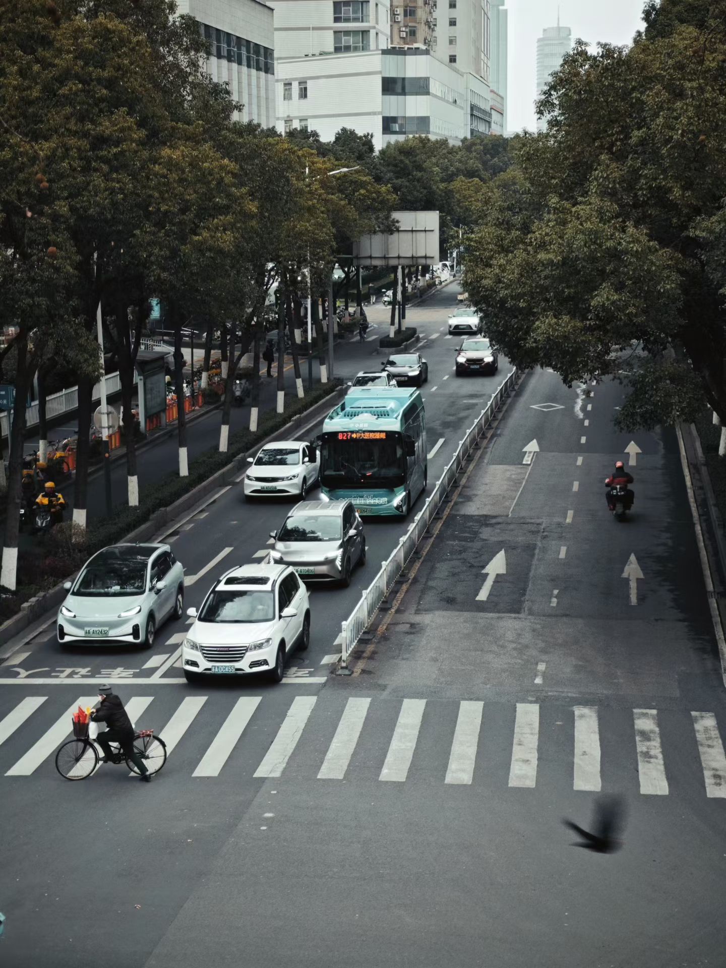 mmexport1770121431628.jpg mmexport1770121431628.jpg