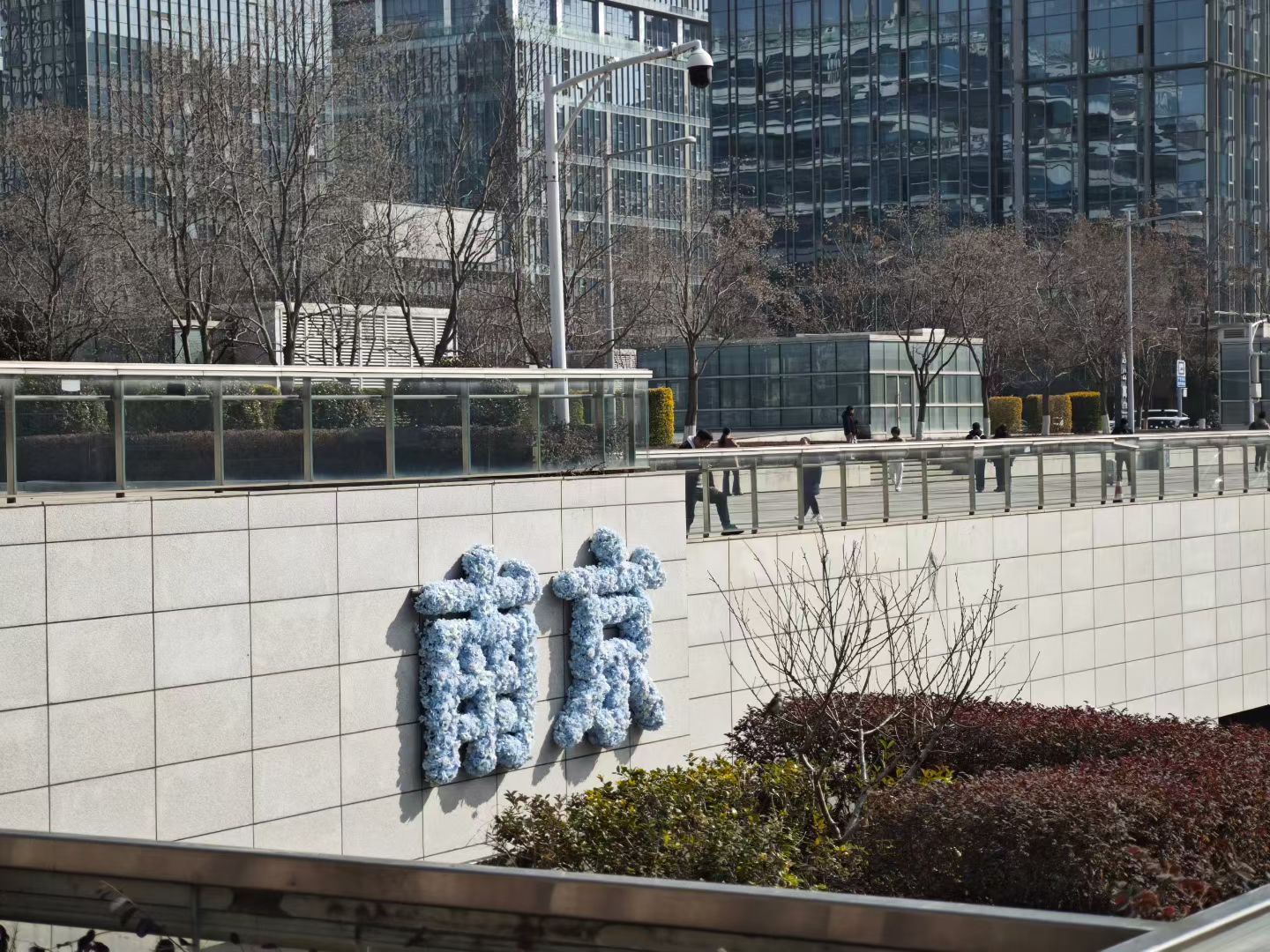 mmexport1770121413778.jpg mmexport1770121413778.jpg